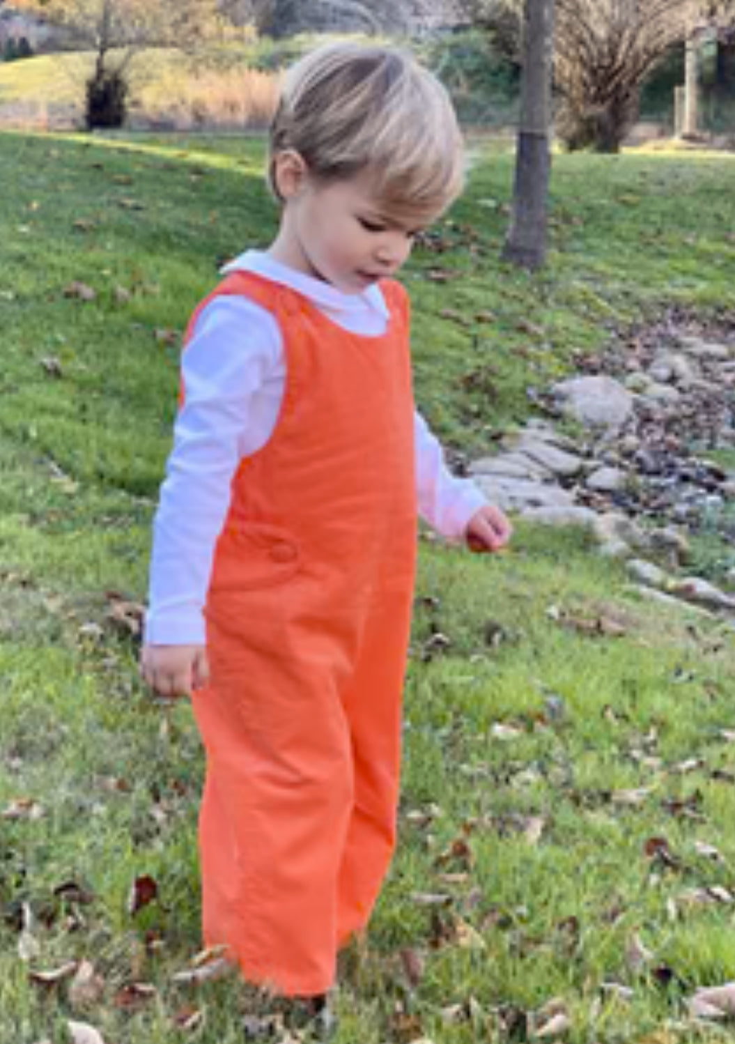 Oyster Point Orange Corduroy Liberty Square Longall