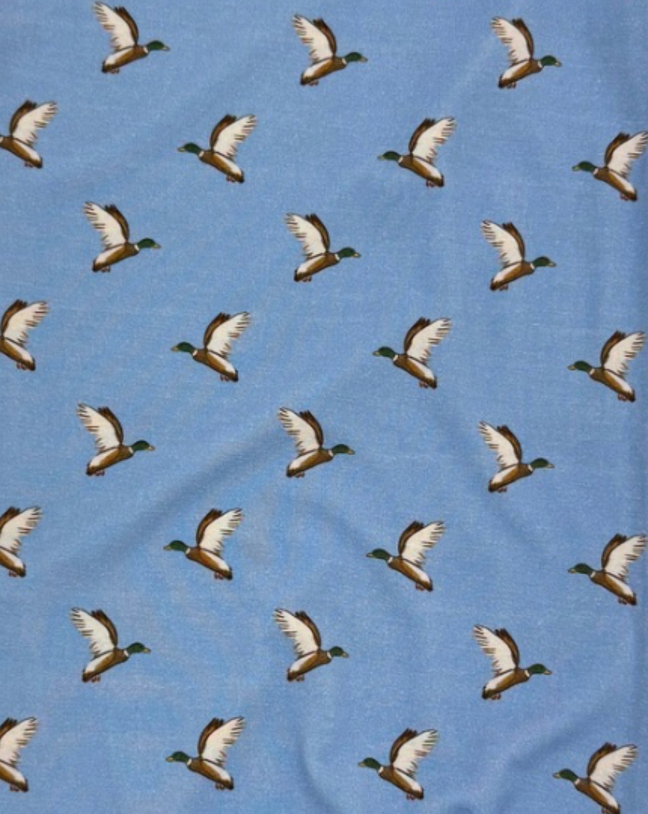 Bamboo Blue Mallard Duck Footie Pajama