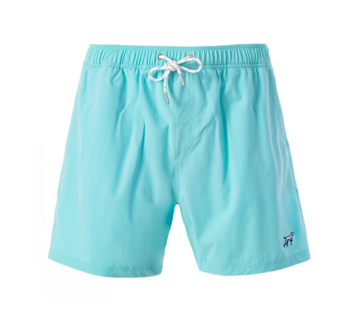 Fieldstone Boys Aqua Blue Lined Performance Shorts