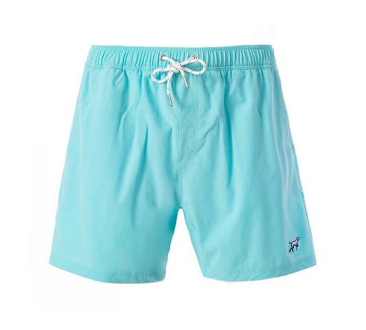 Fieldstone Boys Aqua Blue Lined Performance Shorts
