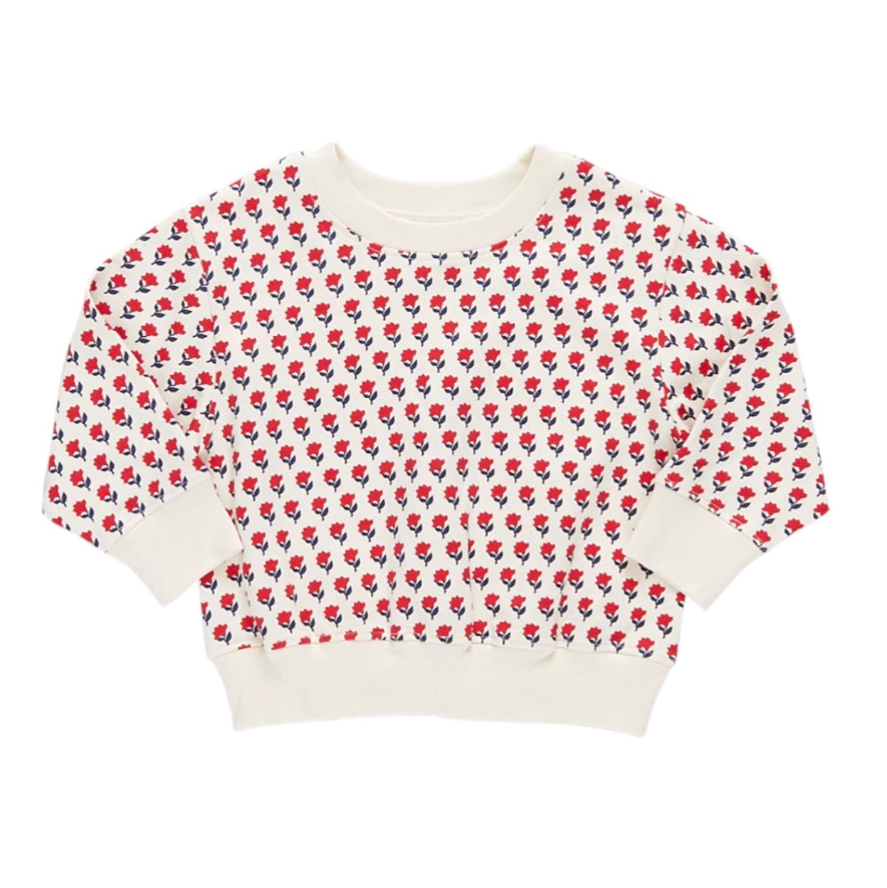 Pink Chicken Girls Organic Tiny Flower Sweatshirt