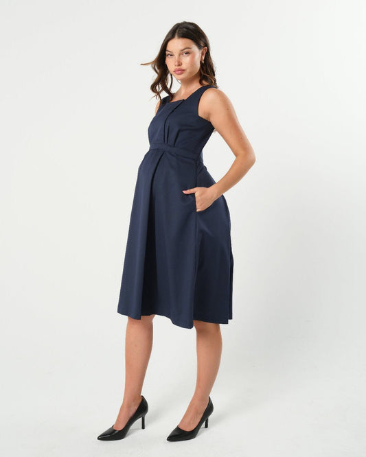 INTO THE BLUE Empire Maternity & Nursing Dress (Regular & Petite)
