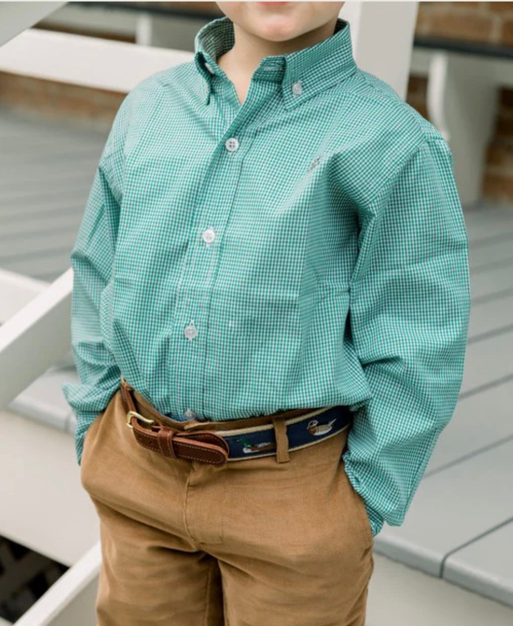 J Bailey Microcheck Gingham Button Down - Navy, Green, Red